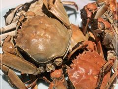 -绿岛港轩海鲜烤肉涮锅自助餐厅