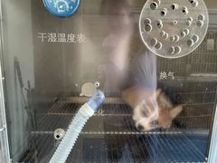 -宠颐生动物医院·小陆分院