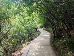 -云丘山景区
