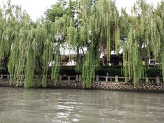 -运河游船(武林门码头)