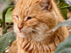 -狼山风景名胜区