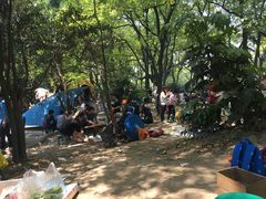 -共青国家森林公园-售票处