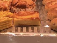 -蒲公英(五里店)