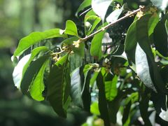 -上海市龙华烈士陵园