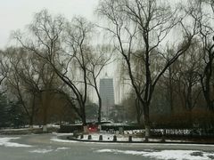 android_upload_pic-玲珑塔公园