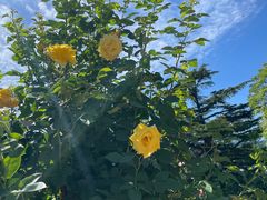 -国家植物园南园