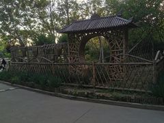 -塘沽森林公园