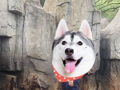 -北药泉