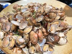 辣炒小花蛤-映像威海·海鲜味道(市区店)