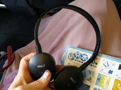 -全日本空输株式会社(上海办事处)