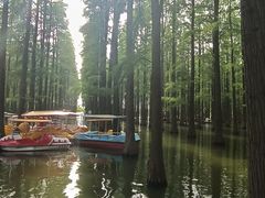 -渌洋湖湿地公园