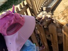 -鄂尔多斯野生动物园