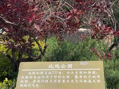 -北坞公园