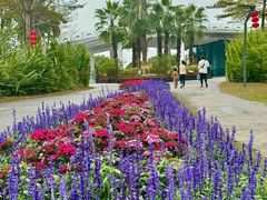 -福田红树林生态公园