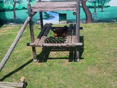 -西霞口神雕山野生动物世界