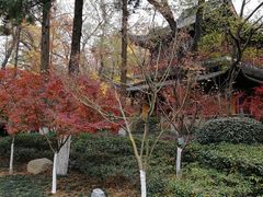 -麦积山温泉