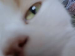 -艾贝尔宠物医院 ·中兽医·宠保定点(北门桥店)