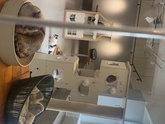 -Cappucimeow猫咪咖啡馆(韦伯时代店)