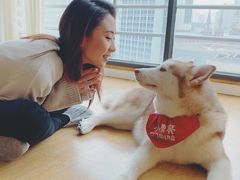 -Husky Go! 哈士奇体验馆·宠物咖啡厅狗咖