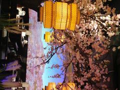 -绿茶餐厅(松江万达店)