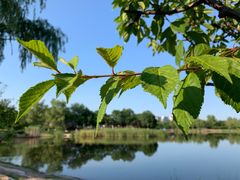 -永定河休闲森林公园
