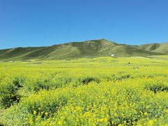 -扁都口生态休闲旅游区