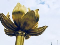 -金莲花广场