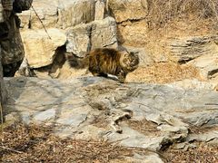 -北京西山国家森林公园