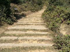 -大姆山草场