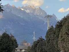 -蘑统田下·野生菌火锅