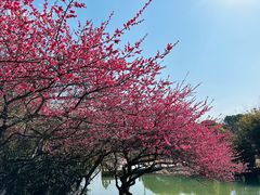 -白塘生态植物园