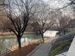 -凤城河风景区