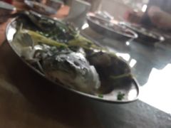 -荔枝红五号农庄