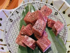 -杨小佳·齐齐哈尔烤肉·烤串(广州店)