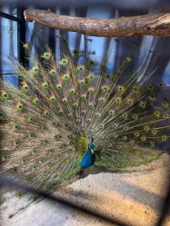 -酷嗒动物文化乐园(cutezoo西溪乐天城店)