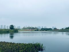 -洋湖国家湿地公园
