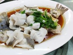 -渔鸽皇酒楼(鸿大广场店)