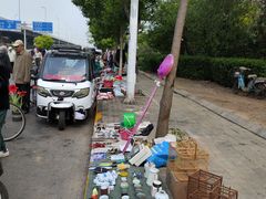 -中环花鸟鱼虫市场