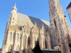 -斯蒂芬主教座堂(Stephansdom)