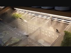 -火炉火自助餐(枫蓝国际店)
