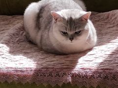 -宠颐生宠物医院·骨外科·犬猫全科诊疗中心(池州店)