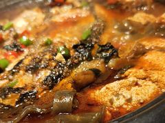 -探鱼·鲜青椒爽麻烤鱼(领展购物广场店)