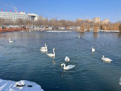 -博乐滨河公园