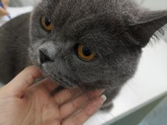 -狗舍宠物医院(四季商业广场店)