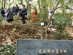 -马王堆汉墓遗址