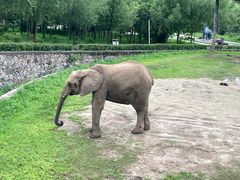 -哈尔滨北方森林动物园