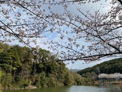 -团城山公园
