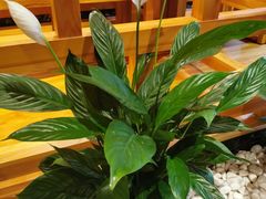 -山之川日料放题(通州店)