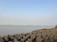 -上海滨江森林公园