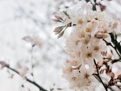 -白鹭湾湿地公园